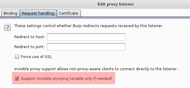 Burp Proxy